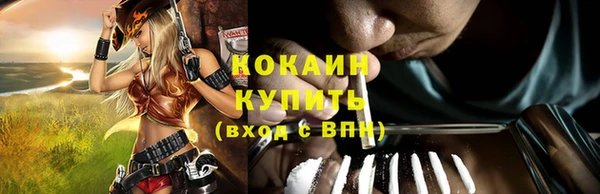 PSILOCYBIN Новозыбков