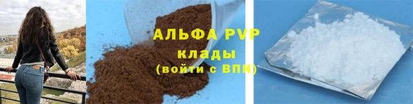 PSILOCYBIN Новозыбков