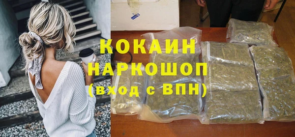 PSILOCYBIN Новозыбков